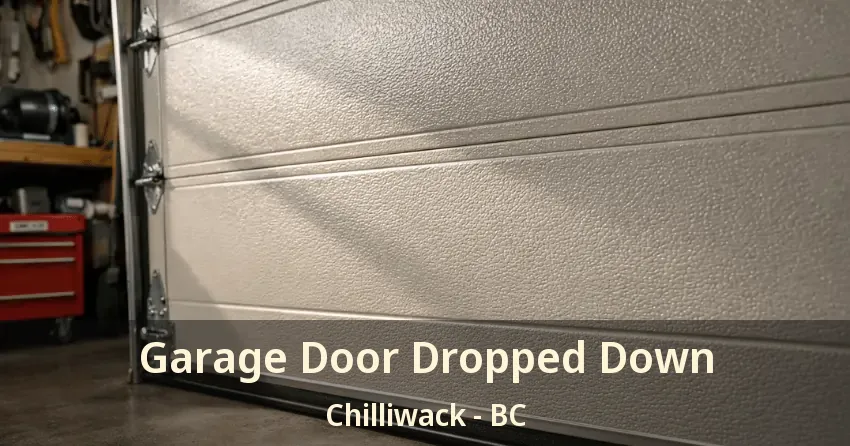 Garage Door Dropped Down Chilliwack - BC