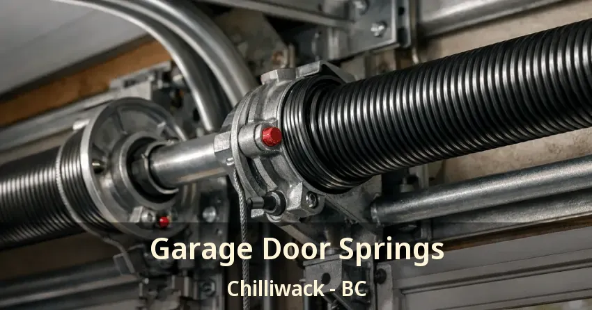 Garage Door Springs Chilliwack - BC